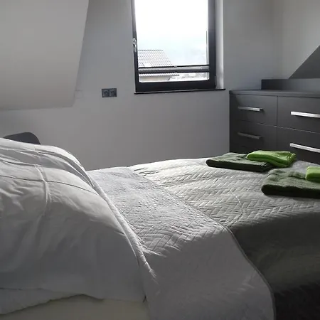 Apartment Domino-apartamenty Kroscienko nad Dunajcem